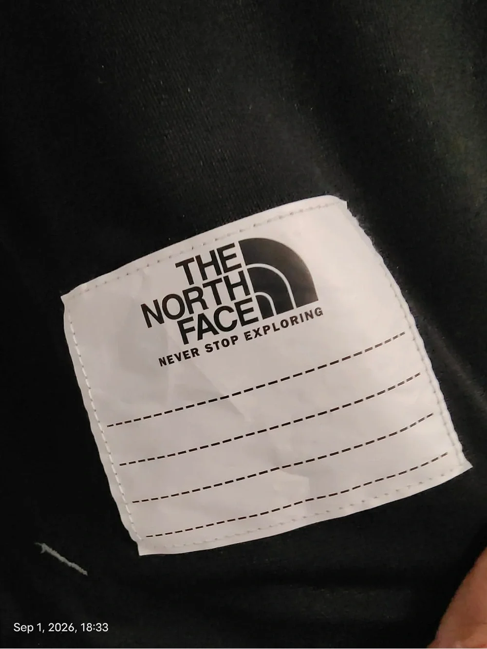 NWOT The North Face Big Boys' ( Teen / Adolescent) Denali Fleece Jacket Sz L(12)